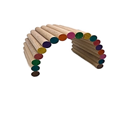 natural wood guinea pig hideout with coloured trim