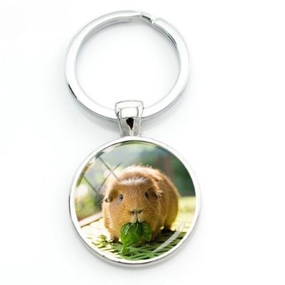Guinea pig key Ring