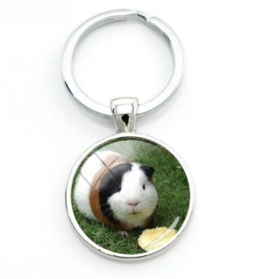 Guinea pig key Ring