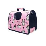 Carry Bag