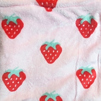 Guinea pig snuggle pouch with strawberry fleece and double lining