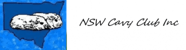 NSW Cavy Club